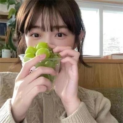 陈善圭